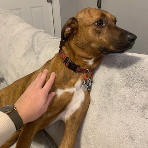 Meet your Posher, Marlowe